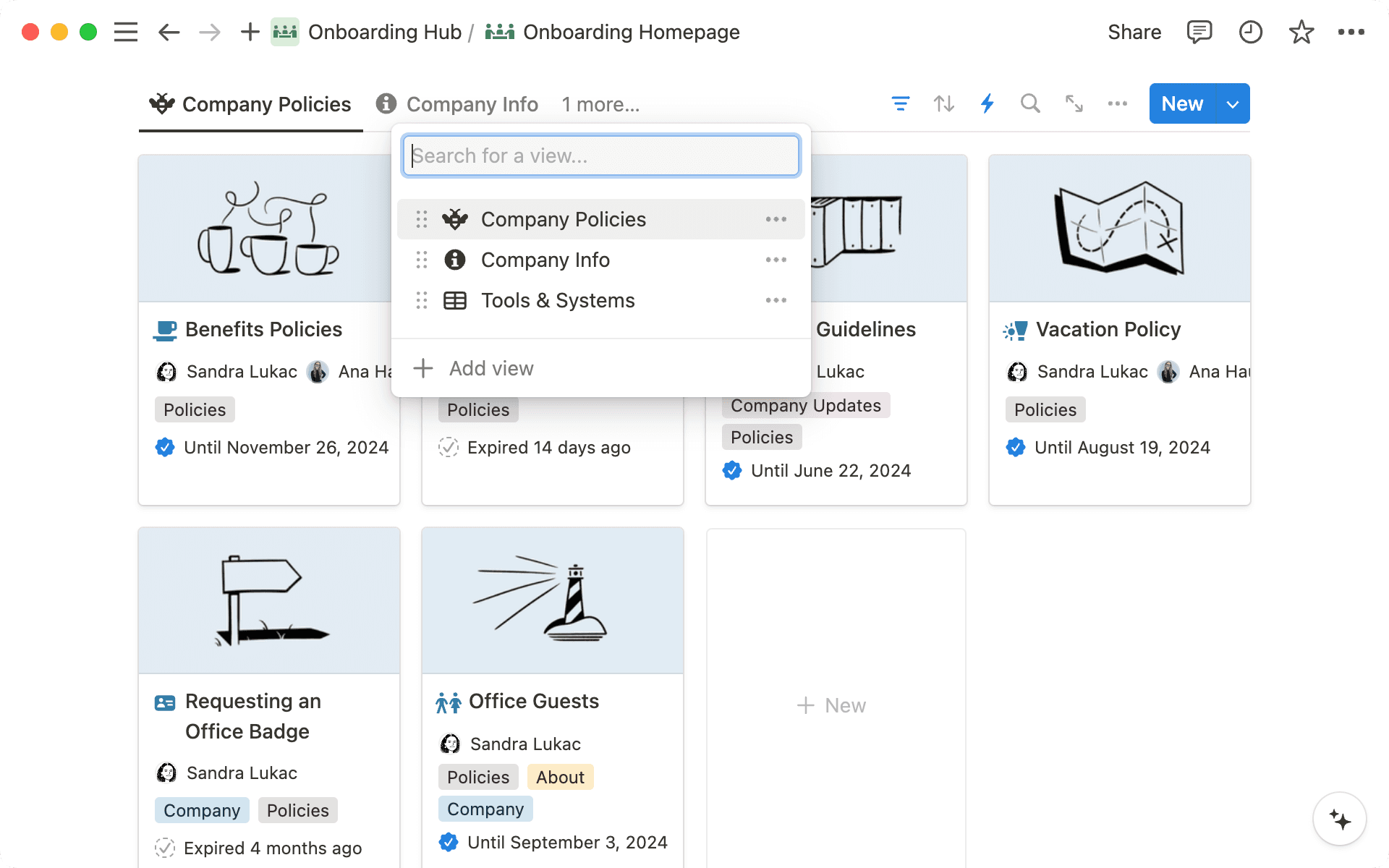 Las vistas pueden ser útiles para organizar la información dentro de tu wiki.