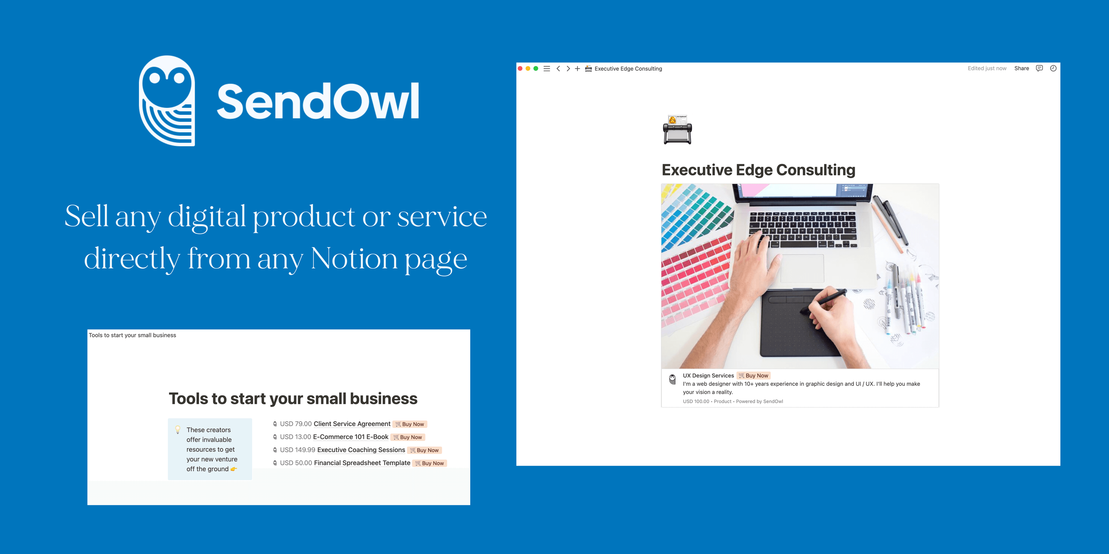 Sell any digital product or service directly from any Notion page