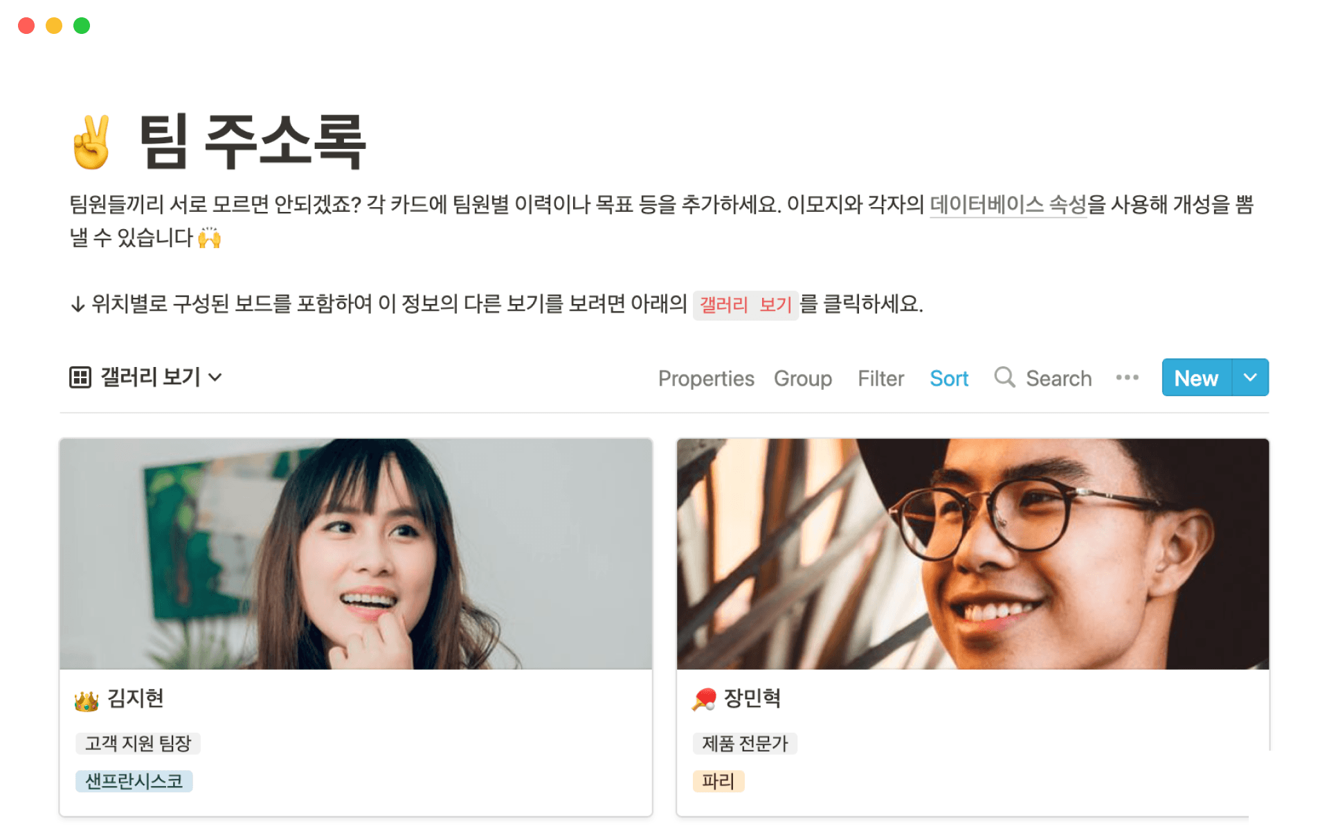 The desktop image for the Team Directory template