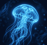 Profile picture of Aequorea Studio
